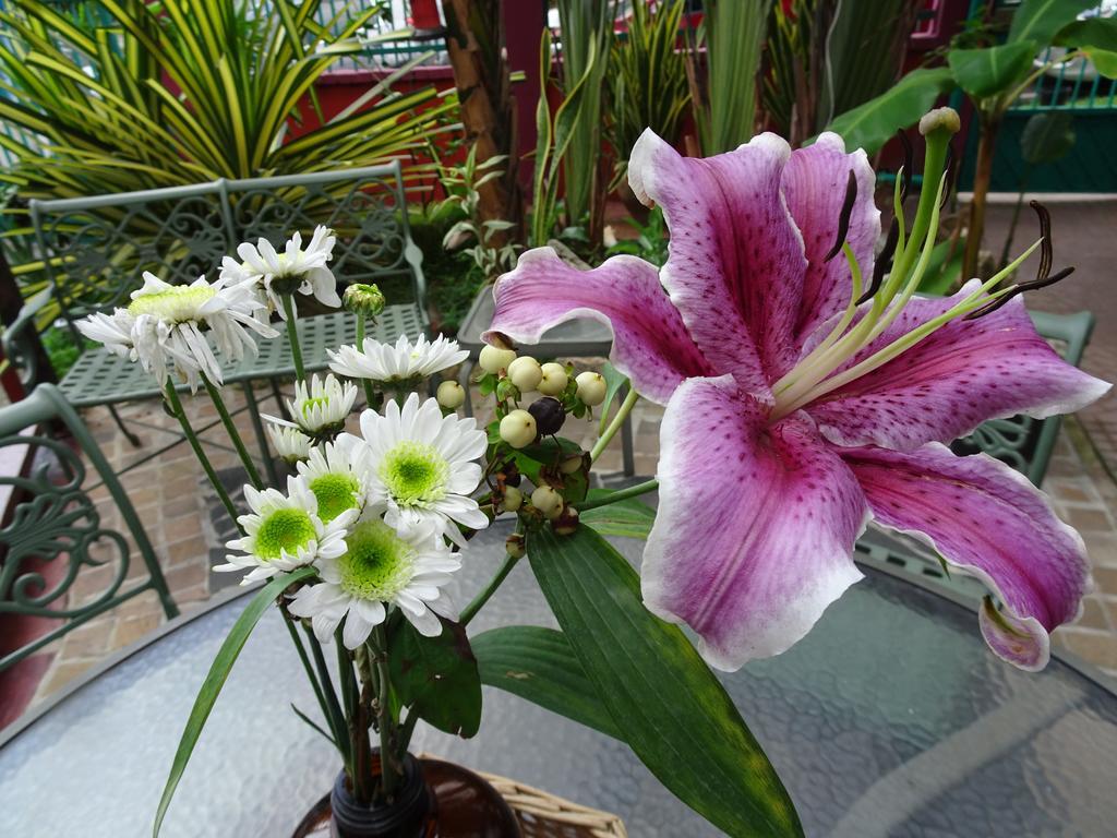 Hostal Posada 1914 ปานามาซิตี้ ภายนอก รูปภาพ