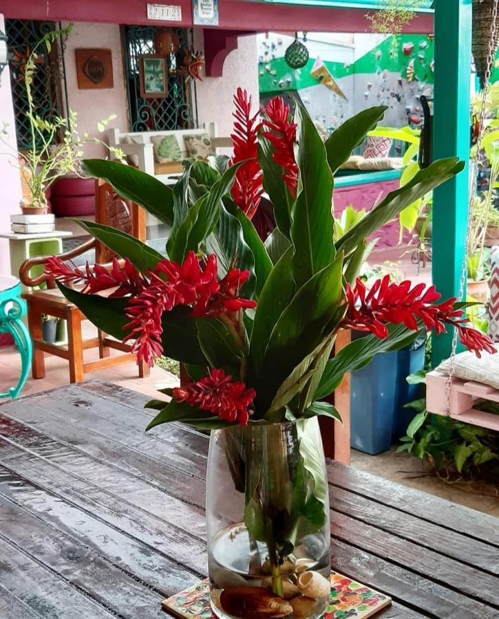 Hostal Posada 1914 ปานามาซิตี้ ภายนอก รูปภาพ